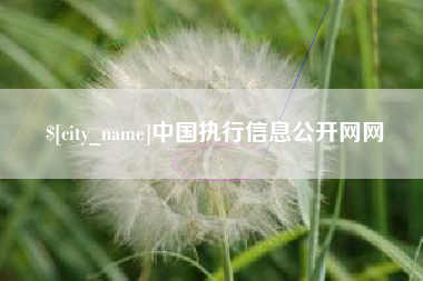 红河中国执行信息公开网网