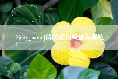 红河消防证初级查询系统