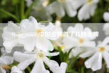 红河中国金牌得了几枚金牌