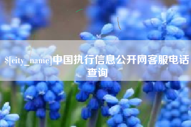 红河中国执行信息公开网客服电话查询