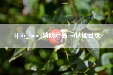 红河消防产品cccf认证目录