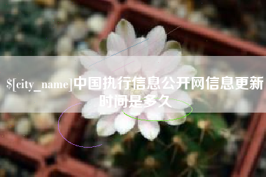 红河中国执行信息公开网信息更新时间是多久