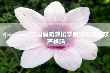 红河中国消防救援学院对视力要求严格吗