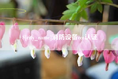 红河消防设备ccc认证