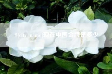红河现在中国金牌是多少