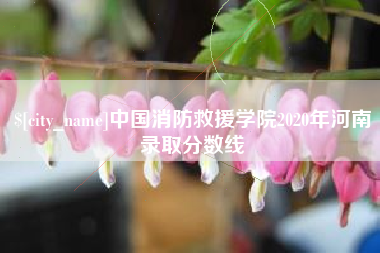 红河中国消防救援学院2020年河南录取分数线