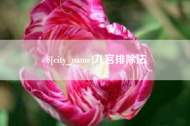 红河九宫排除法