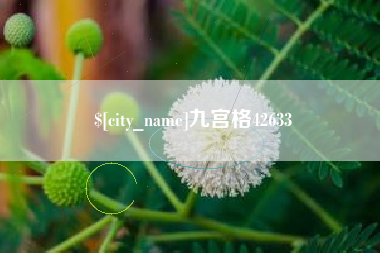 红河九宫格42633