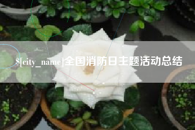 红河全国消防日主题活动总结