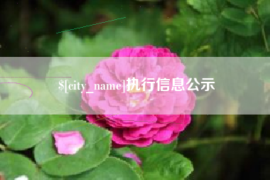 红河执行信息公示