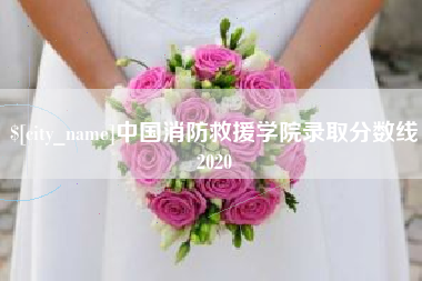 红河中国消防救援学院录取分数线2020