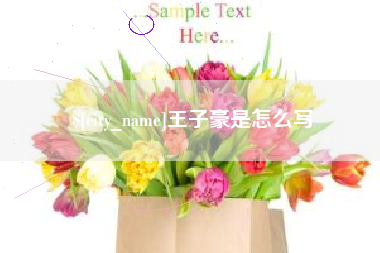 红河王子豪是怎么写