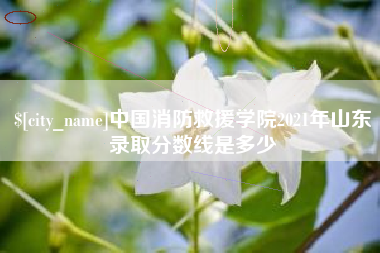 红河中国消防救援学院2021年山东录取分数线是多少