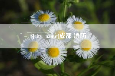 红河成都 消防