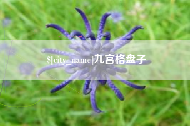 红河九宫格盘子