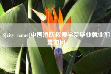红河中国消防救援学院毕业就业前景如何