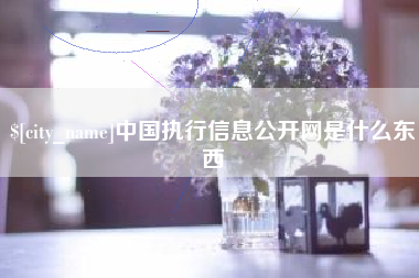 红河中国执行信息公开网是什么东西