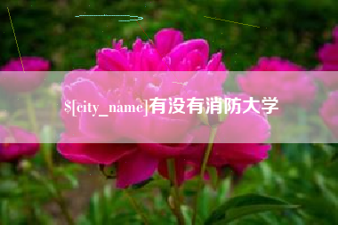 红河有没有消防大学