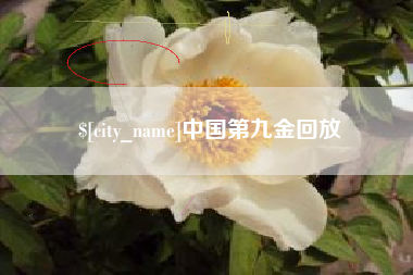 红河中国第九金回放
