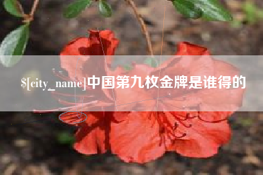 红河中国第九枚金牌是谁得的