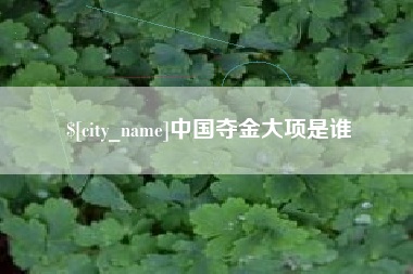 红河中国夺金大项是谁