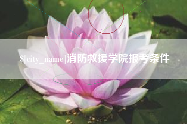 红河消防救援学院报考条件