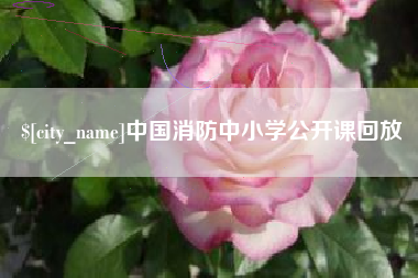红河中国消防中小学公开课回放