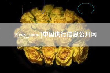 红河中国执行信息公开网