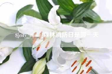 红河森林消防日是哪一天