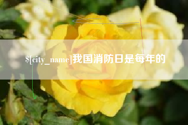 红河我国消防日是每年的
