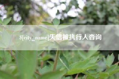 红河失信被执行人杳询