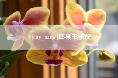 红河邱县王子磊