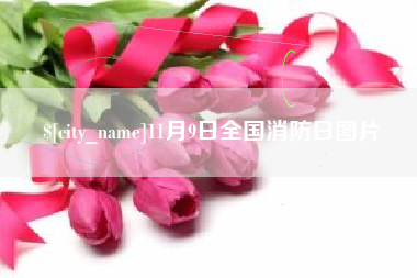 红河11月9日全国消防日图片