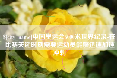红河中国奥运会5000米世界纪录-在比赛关键时刻需要运动员能够迅速加速冲刺