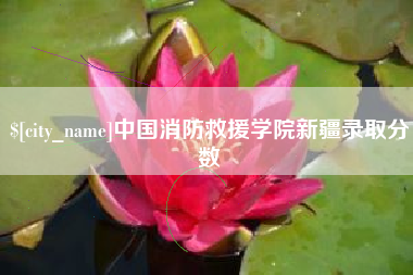 红河中国消防救援学院新疆录取分数