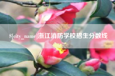 红河浙江消防学校招生分数线