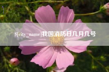 红河我国消防日几月几号