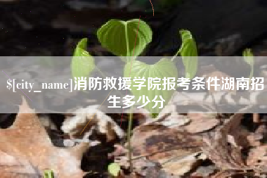 红河消防救援学院报考条件湖南招生多少分