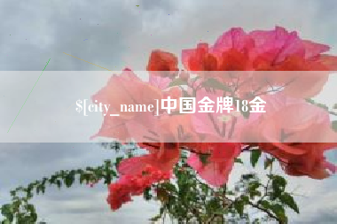 红河中国金牌18金
