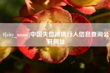 红河中国失信被执行人信息查询公开网址