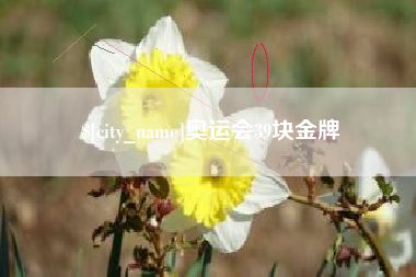 红河奥运会39块金牌