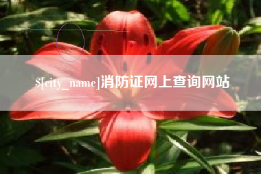 红河消防证网上查询网站