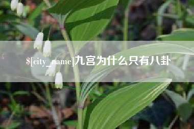 红河九宫为什么只有八卦