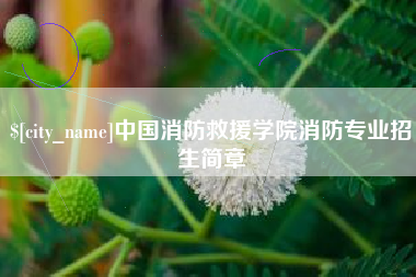 红河中国消防救援学院消防专业招生简章