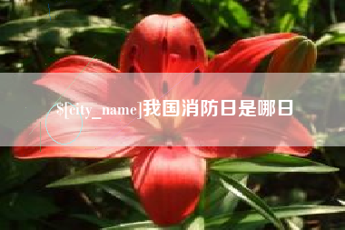 红河我国消防日是哪日