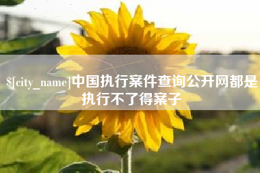 红河中国执行案件查询公开网都是执行不了得案子