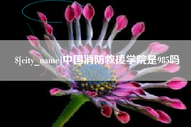 红河中国消防救援学院是985吗
