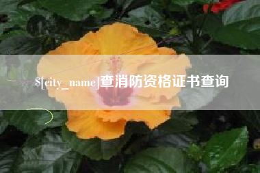 红河查消防资格证书查询