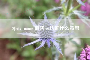 红河消防ccc认证什么意思