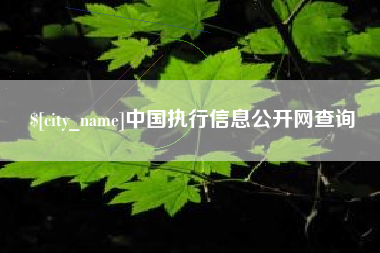 红河中国执行信息公开网查询